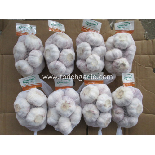 High Quality Normal Garlic Hot Sale